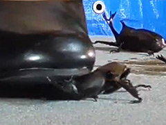 復刻版めいの私服パンプスでカブトム○クラッシュ VOL2