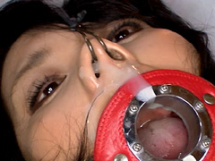 躾の宴 息のある限り陵○を極める