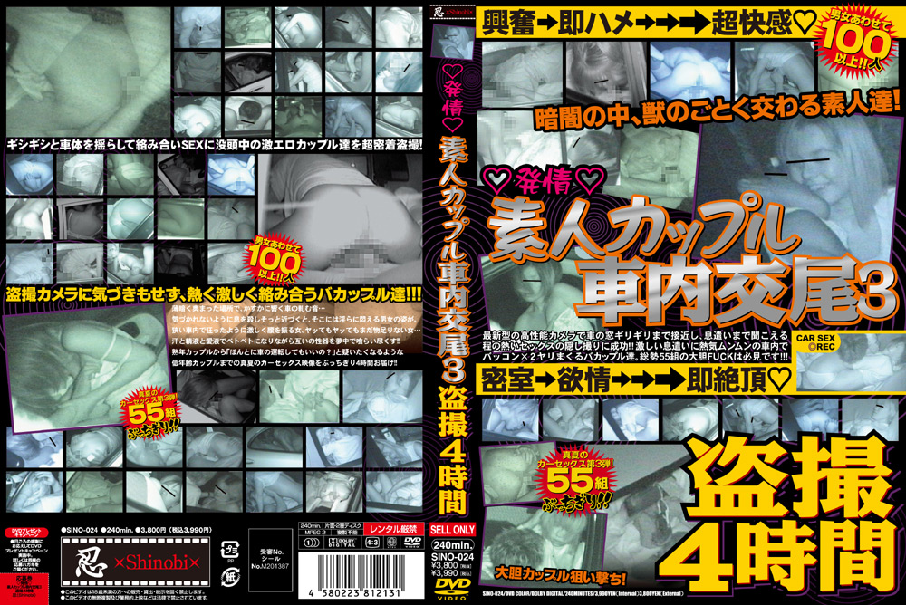 発情 素人カップル車内交尾3 ○撮4時間