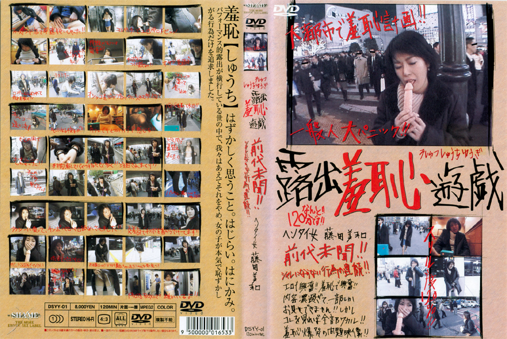 露出羞恥遊戯 藤田美和