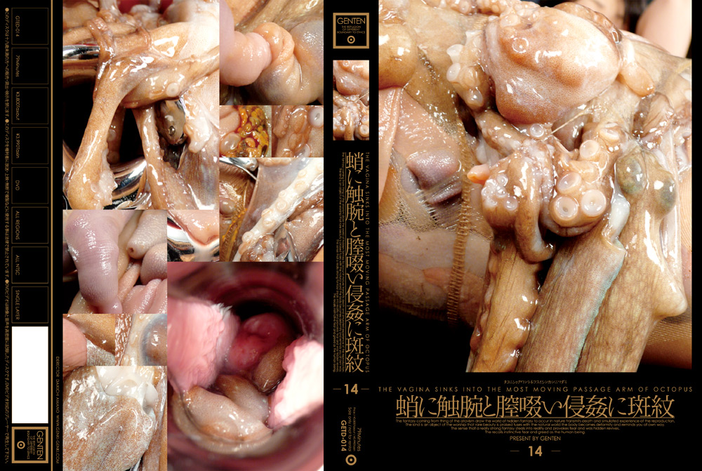蛸に触腕と膣啜い侵○に斑紋