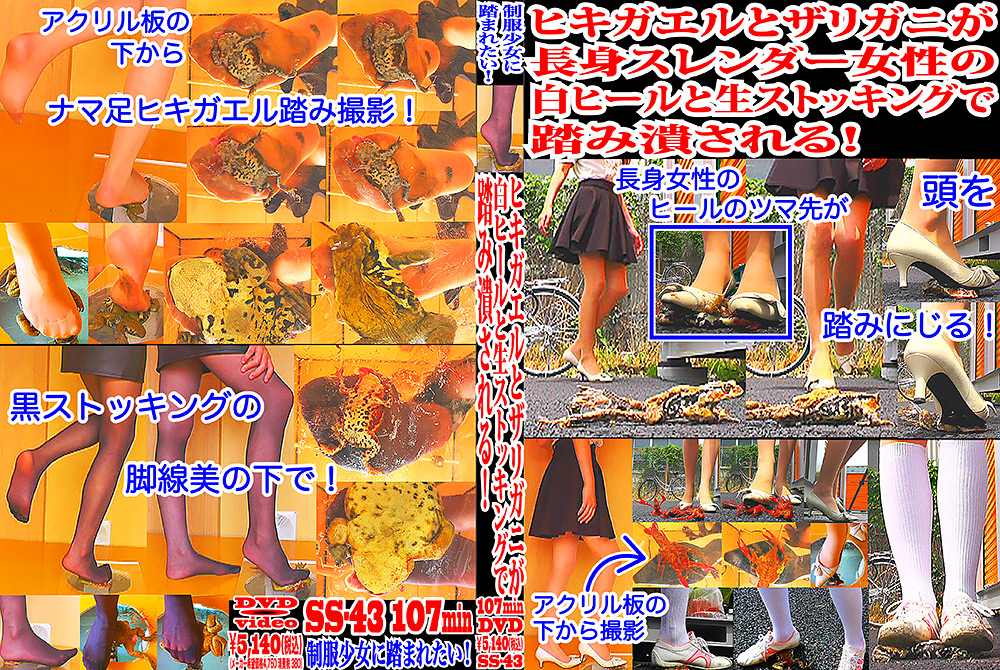 ヒキガエルとザリガニが生ストッキングで踏み潰される！