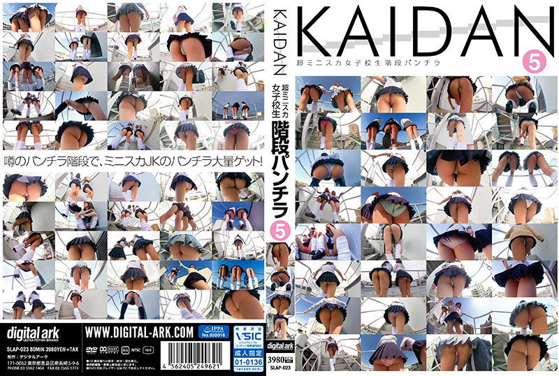KAIDAN 超ミニスカ女子○生階段パンチラ5
