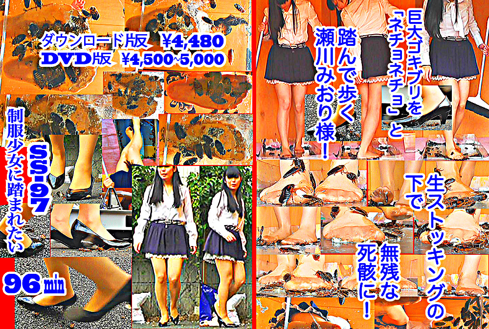 瀬川みおり様が生ストッキングで巨大ゴキブリを踏み潰す