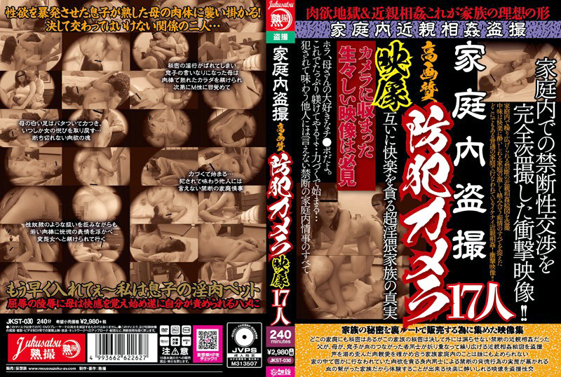 家庭内○撮 高画質防○カメラ映像 17人
