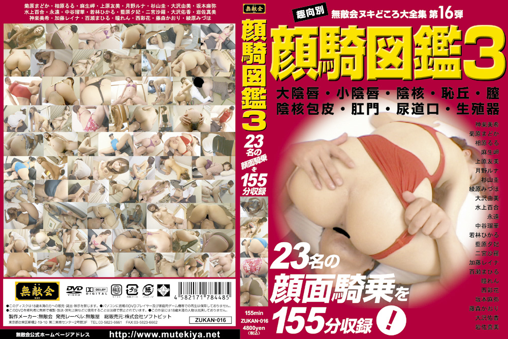 顔騎図鑑3