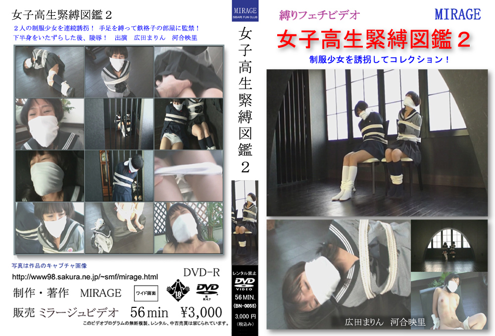 女子○生緊○図鑑2