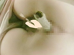 オールうんこ第2弾 汲み取りトイレ下から○撮