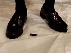 めいちゃんのクワガタCRUSH