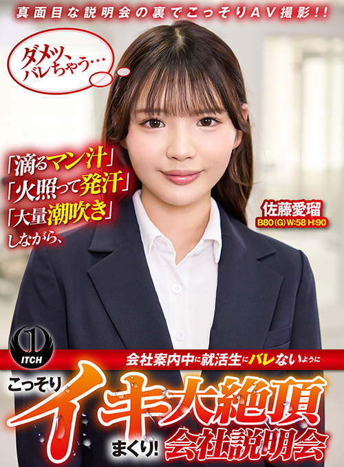 こっそりイキまくり！大絶頂会社説明会 佐藤愛瑠編